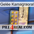 Gelée Kamagraoral new06